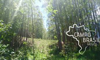 Imagem: SÍTIO 8,5 ALQUEIRES EM REDENÇÃO DA SERRA
