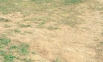 Imagem 4: CHÁCARA 1.300M² PLANA NA ZONA NORTE DE SÃO JOSÉ DOS CAMPOS !