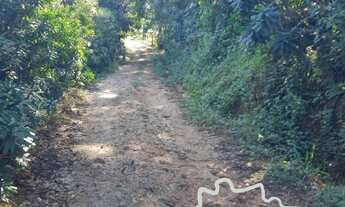 Imagem: CHÁCARA COM 1,5 ALQUEIRES NA ZONA NORTE