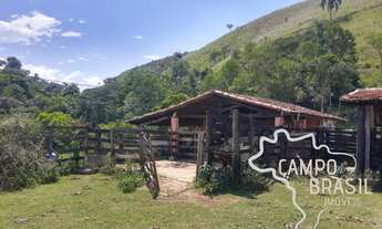 Imagem: SÍTIO 3,5 ALQUEIRES COM PASTO FORMADO NA