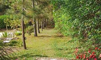 Imagem 5: CHÁCARA 1.200M² COM PISCINA EM JAMBEIRO !