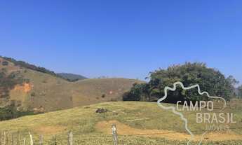 Imagem 7: SÍTIO 23 ALQUEIRES COM PASTO FORMADO EM SÃO FRANCISCO XAVIER !