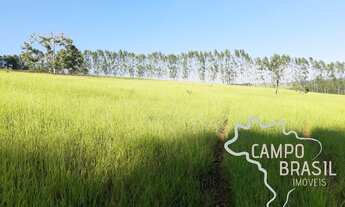 Imagem 2: FAZENDA 225 HECTARES NO SUL DE MINAS GERAIS !