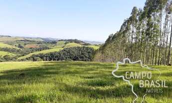 Imagem: FAZENDA 225 HECTARES NO SUL DE MINAS GERAIS