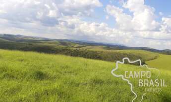 Imagem 6: FAZENDA 225 HECTARES NO SUL DE MINAS GERAIS !