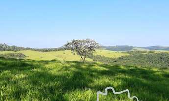 Imagem 7: FAZENDA 225 HECTARES NO SUL DE MINAS GERAIS !
