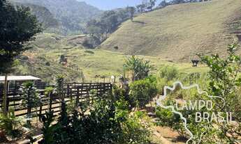 Imagem 2: SÍTIO 23 ALQUEIRES COM PASTO FORMADO EM SÃO FRANCISCO XAVIER !