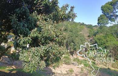 Imagem 7: CHÁCARA 4.000M² COM LAGO EM PARAIBUNA !