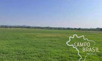 Imagem: FAZENDA 20 ALQUEIRES PLANA EM SÃO JOSÉ