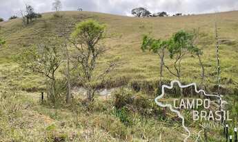 Imagem 6: ÁREA RURAL 3,5 ALQUEIRES Á 2KM DO ASFALTO COM PASTO FORMADO E NASCENTE EM JAMBEIRO !