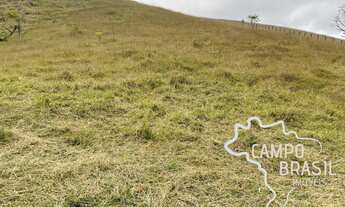 Imagem 7: ÁREA RURAL 3,5 ALQUEIRES Á 2KM DO ASFALTO COM PASTO FORMADO E NASCENTE EM JAMBEIRO !