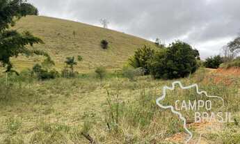 Imagem 4: ÁREA RURAL 3,5 ALQUEIRES Á 2KM DO ASFALTO COM PASTO FORMADO E NASCENTE EM JAMBEIRO !