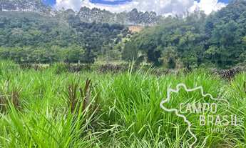 Imagem 6: FAZENDA 26 HECTARES FORMADA COM EXCELENTE ESTRUTURA NO SUL DE MINAS GERAIS !