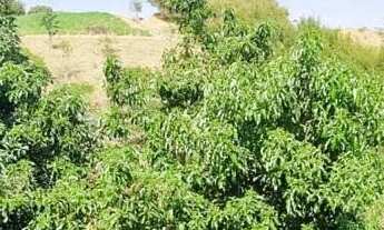 Imagem: CASA 150M² NO ALTOS DA VILA PAIVA ZONA