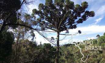 Imagem 4: ÓTIMA CHÁCARA COM VISTA LIVRE E CERCADO DE NATUREZA EM CAMPOS DO JORDÃO!