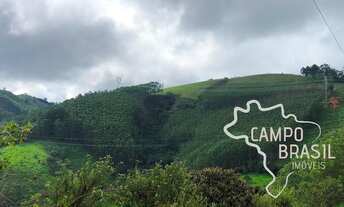 Imagem 2: SÍTIO 8,37 ALQUEIRES COM EUCALIPTO EM SÃO FRANCISCO XAVIER - SP !