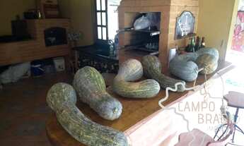 Imagem 7: Oportunidade Rural!!! Lindo sítio com casa rústica!