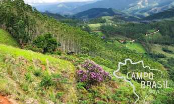 Imagem 4: SÍTIO 8,37 ALQUEIRES COM EUCALIPTO EM SÃO FRANCISCO XAVIER - SP !