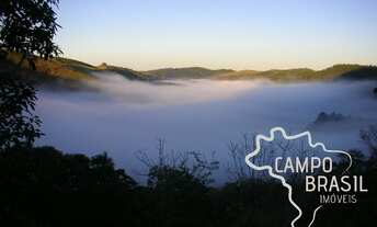 Imagem 3: SÍTIO 8,37 ALQUEIRES COM EUCALIPTO EM SÃO FRANCISCO XAVIER - SP !