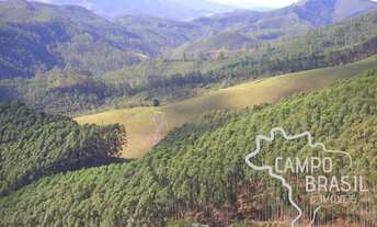 Imagem 5: SÍTIO 8,37 ALQUEIRES COM EUCALIPTO EM SÃO FRANCISCO XAVIER - SP !