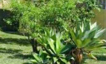 Imagem: EXCELENTE CHÁCARA EM CONDOMÍNIO FECHADO