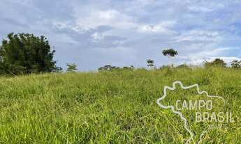Imagem 3: ÁREA RURAL 3,5 ALQUEIRES Á 2KM DO ASFALTO COM PASTO FORMADO E NASCENTE EM JAMBEIRO !