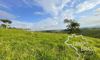 Imagem 2: ÁREA RURAL 3,5 ALQUEIRES Á 2KM DO ASFALTO COM PASTO FORMADO E NASCENTE EM JAMBEIRO !