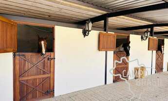 Imagem: HARAS COMPLETO COM 19 BAIAS EM SÃO JOSÉ