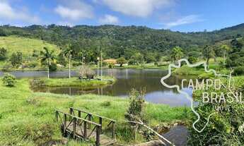 Imagem: HARAS 95 ALQUEIRES, A 5 KM DA RODOVIA D.PEDRO