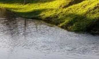 Imagem 2: HARAS 95 ALQUEIRES, A 5 KM DA RODOVIA D.PEDRO, RICO EM BELEZAS NATURAIS!