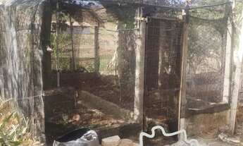 Imagem 3: CHÁCARA EM CONDOMÍNIO 3.200M² COM GRANDE POMAR EM JACAREÍ !