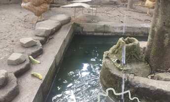 Imagem 4: CHÁCARA EM CONDOMÍNIO 3.200M² COM GRANDE POMAR EM JACAREÍ !