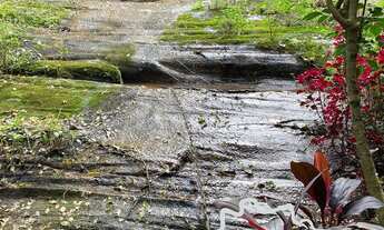 Imagem 4: Sítio com natureza encantadora! Diversas belezas naturais!