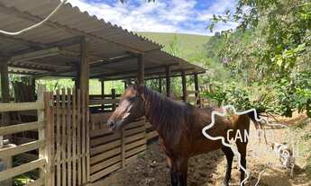Imagem: Lindo sítio formado de 4,8 hectares! Com