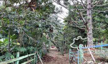 Imagem 3: Sítio com natureza encantadora! Diversas belezas naturais!