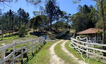 Imagem 2: Chácara de 30 mil metros quadrados em Natividade da Serra! Com linda casa de campo