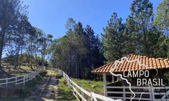 Imagem 4: Chácara de 30 mil metros quadrados em Natividade da Serra! Com linda casa de campo