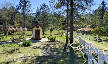 Imagem 3: Chácara de 30 mil metros quadrados em Natividade da Serra! Com linda casa de campo