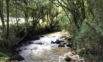 Imagem 5: CHÁCARA LINDA, 10.000M² EM CAMPOS DO JORDÃO, MOBILIADA E ESCRITURADA!