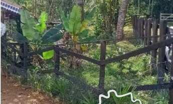 Imagem 6: ÓTIMA CHÁCARA COM 3.000 M² NA ZONA NORTE DE SÃO JOSÉ DOS CAMPOS!