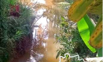 Imagem 4: ÓTIMA CHÁCARA COM 3.000 M² NA ZONA NORTE DE SÃO JOSÉ DOS CAMPOS!