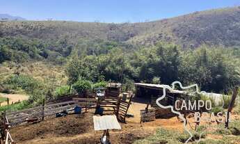 Imagem 7: SÍTIO DE 32 MIL M² NA ZONA NORTE! COM PASTO FORMADO, CURRAL E CASA DE 3 DORMITÓRIOS!