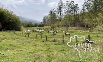 Imagem 3: RARIDADE! FAZENDA DE 170 ALQUEIRES EM SÃO FRANCISCO XAVIER! COM CASA SEDE RÚSTICA E ACONCH