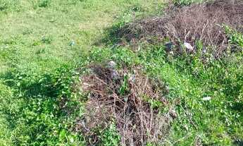 Imagem: Terreno de 624m² na Barra do Pote, Vera