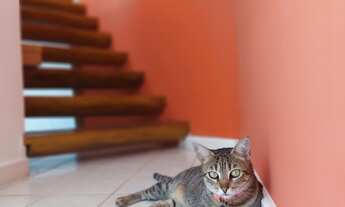 Imagem 7: GUARAJUBA - Casa Duplex em Condomínio Clube: 4 quartos, 2 suítes, 2 salas, 3 banheiros, 2