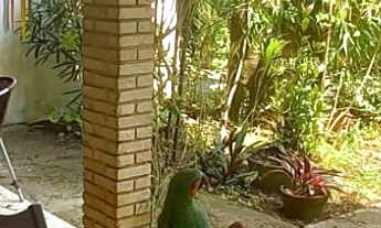 Imagem 2: SOBRADO COM 3 DOMITÓRIOS SENDO 2 SUÍTES NO ARRASTÃO - SÃO SEBASTIÃO