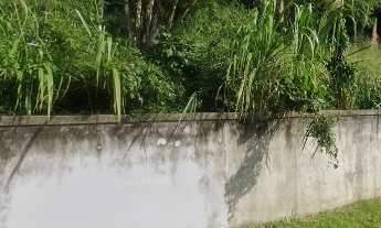 Imagem: TERRENO A VENDA EM BAREQUEÇABA