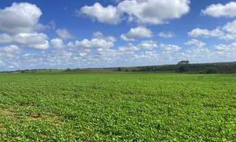 Imagem: FAZENDA RURAL em MACAPÁ - AP, CENTRAL