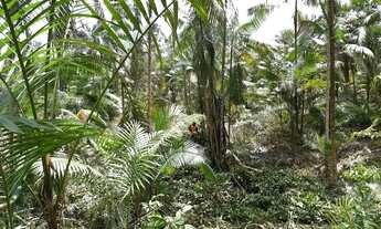 Imagem: 1000M² de Área Total