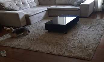 Imagem: SOBRADO DE 280M², 6 DORMITÓRIOS, 6 BANHEIROS